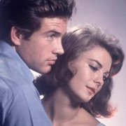 Splendor in the Grass - galeria zdjęć - filmweb