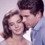 Splendor in the Grass - galeria zdjęć - filmweb