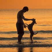 Caramelo - galeria zdjęć - filmweb