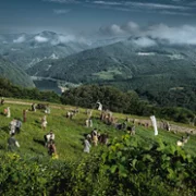 Jeon, ran - galeria zdjęć - filmweb
