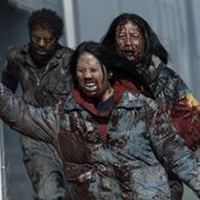 Black Summer - galeria zdjęć - filmweb