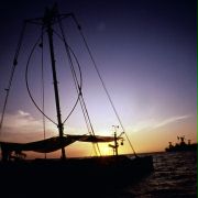 Wodny świat - galeria zdjęć - filmweb