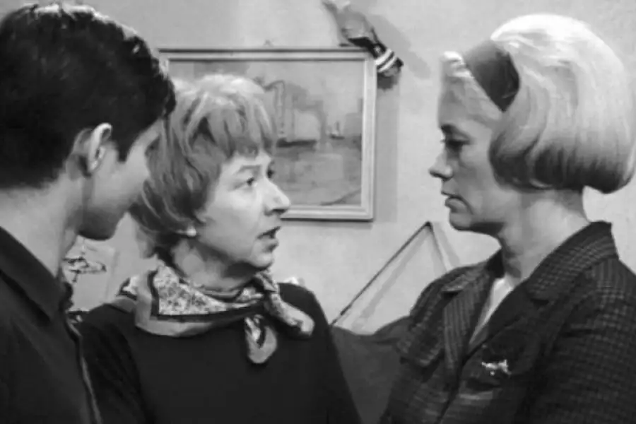Wojna domowa - galeria zdjęć - filmweb