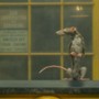 Szczurołap - galeria zdjęć