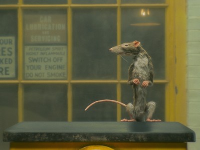 Szczurołap - galeria zdjęć - filmweb