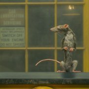 The Rat Catcher - galeria zdjęć - filmweb