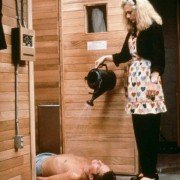 The War of the Roses - galeria zdjęć - filmweb