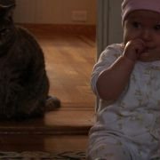 Bébé(s) - galeria zdjęć - filmweb