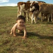 Bébé(s) - galeria zdjęć - filmweb