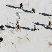 Human - galeria zdjęć - filmweb
