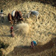 Human - galeria zdjęć - filmweb