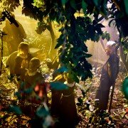 Droga do mistrzostwa - galeria zdjęć - filmweb