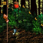 Donkey Kong Country - galeria zdjęć - filmweb