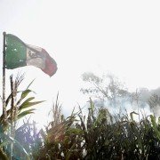Cinco de Mayo: La batalla - galeria zdjęć - filmweb