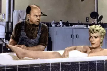 Słomiany wdowiec - galeria zdjęć - filmweb