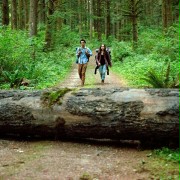 Into the Forest - galeria zdjęć - filmweb