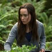 Into the Forest - galeria zdjęć - filmweb