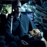 Król cieni - galeria zdjęć - filmweb
