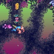 Donkey Kong Country 3: Dixie Kong's Double Trouble! - galeria zdjęć - filmweb