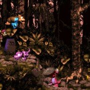 Donkey Kong Country 3: Dixie Kong's Double Trouble! - galeria zdjęć - filmweb