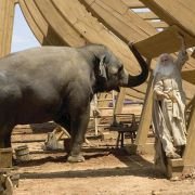 Evan Almighty - galeria zdjęć - filmweb