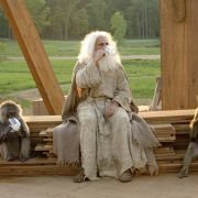 Evan Almighty - galeria zdjęć - filmweb