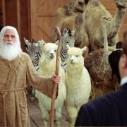 Evan Almighty - galeria zdjęć - filmweb