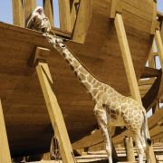 Evan Almighty - galeria zdjęć - filmweb