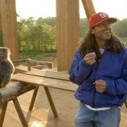 Evan Almighty - galeria zdjęć - filmweb