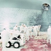 Wszystko, co chcielibyście wiedzieć o seksie, ale baliście się zapytać - galeria zdjęć - filmweb