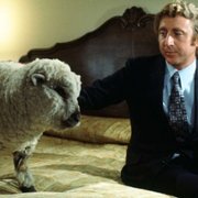 Wszystko, co chcielibyście wiedzieć o seksie, ale baliście się zapytać - galeria zdjęć - filmweb