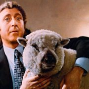 Wszystko, co chcielibyście wiedzieć o seksie, ale baliście się zapytać - galeria zdjęć - filmweb