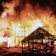 The Mosquito Coast - galeria zdjęć - filmweb
