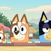 Bluey - galeria zdjęć - filmweb