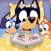 Bluey - galeria zdjęć - filmweb