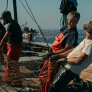 Człowiek wszystkożerny - galeria zdjęć - filmweb