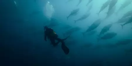 Człowiek wszystkożerny - galeria zdjęć - filmweb