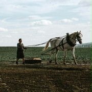 Ułaskawienie - galeria zdjęć - filmweb