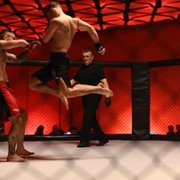 Bartkowiak - galeria zdjęć - filmweb