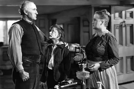 Zielona dolina - galeria zdjęć - filmweb