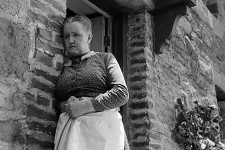 Zielona dolina - galeria zdjęć - filmweb