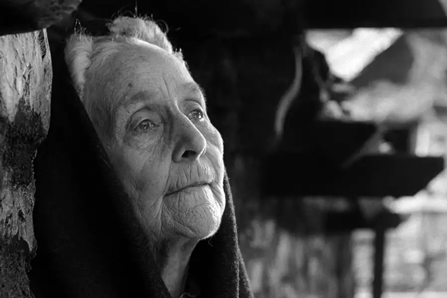 Zielona dolina - galeria zdjęć - filmweb