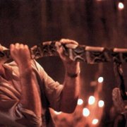 The Serpent and the Rainbow - galeria zdjęć - filmweb