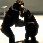 The Puppet Masters - galeria zdjęć - filmweb