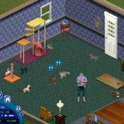 The Sims: Unleashed - galeria zdjęć - filmweb
