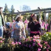 Grosse Pointe Garden Society - galeria zdjęć - filmweb