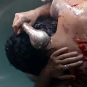 Animale - galeria zdjęć - filmweb