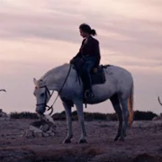 Animale - galeria zdjęć - filmweb