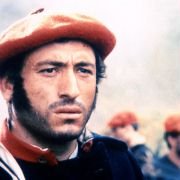 Krowy - galeria zdjęć - filmweb