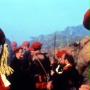 Krowy - galeria zdjęć